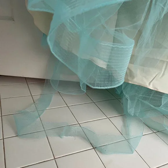 Morilee Vizcaya Quinceanera Corset Fairytale Dress Ball Gown 89174 *Note Cond - Picture 4 of 15